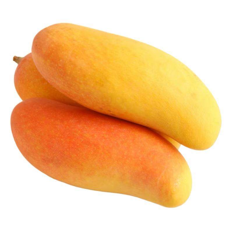 Mahachanok Mango